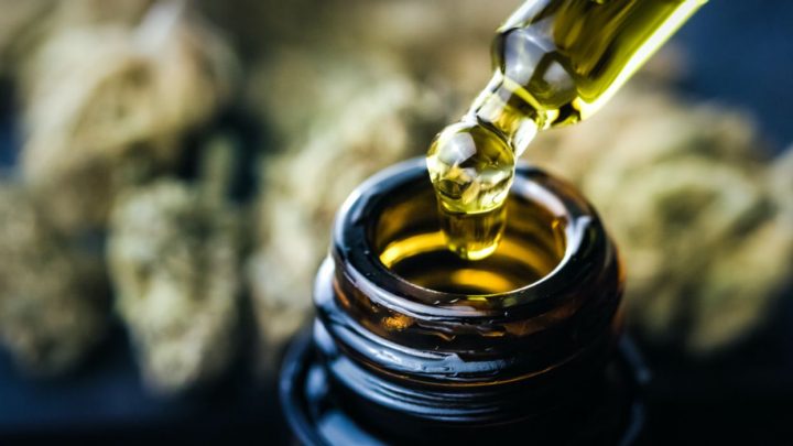 CBD Oil And Heart Health – Here’s What You Need To Know!
