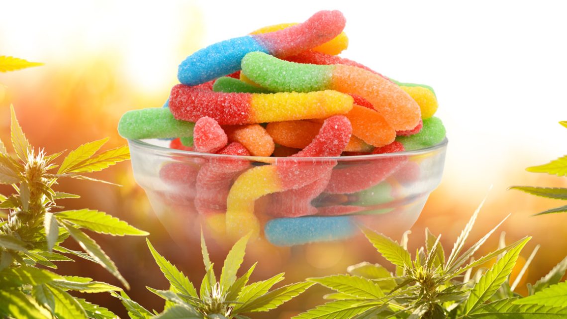 Gummy Goodness: Top Picks for Kratom Enthusiasts