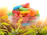 Gummy Goodness: Top Picks for Kratom Enthusiasts